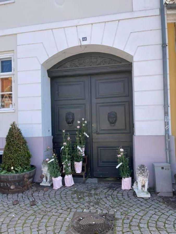 Apothekergaarden Stege B&B Zewnętrze zdjęcie